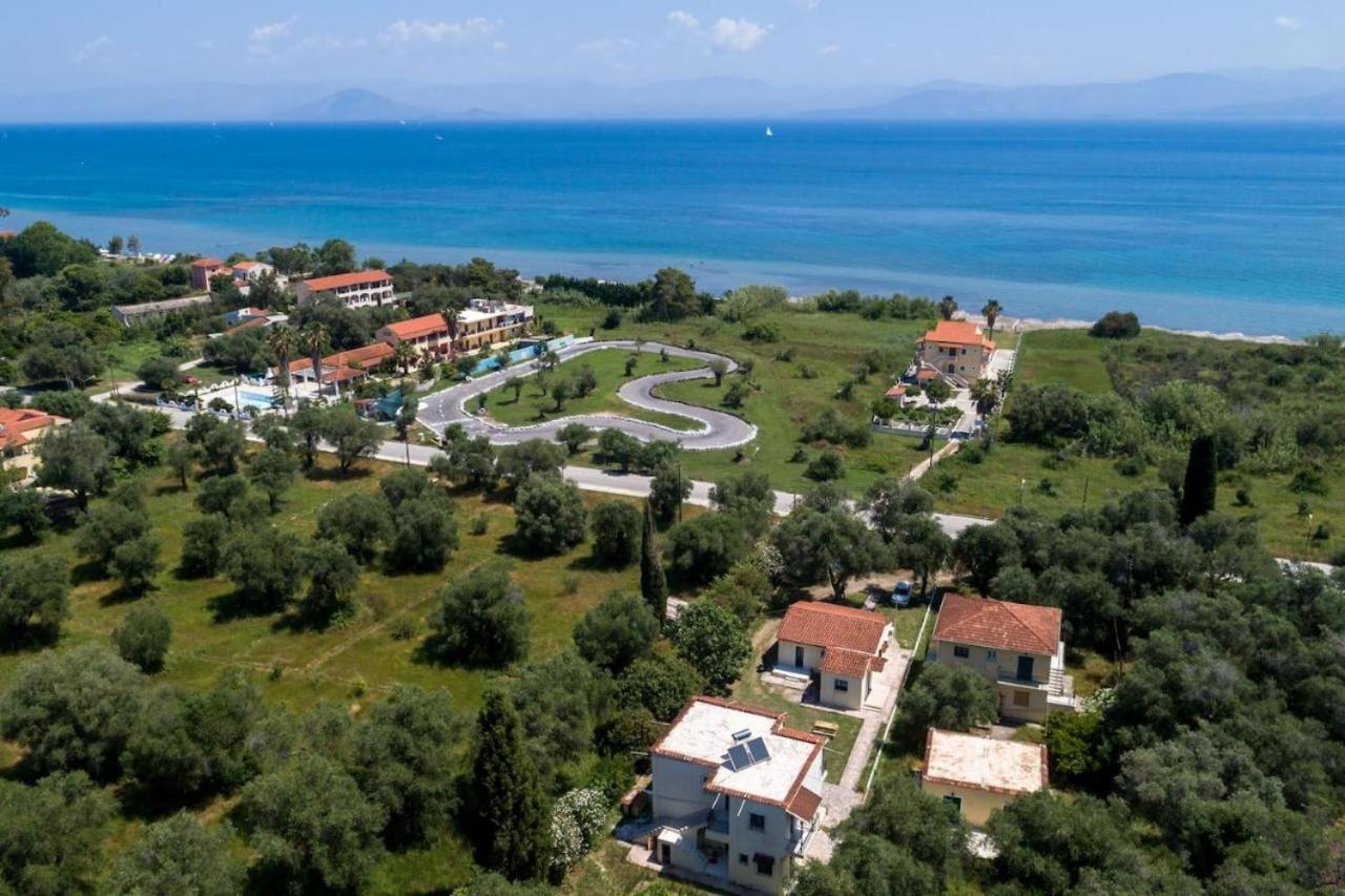 Olive Terra Aparments